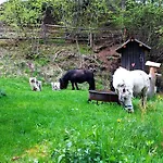 Fasslhuette *
