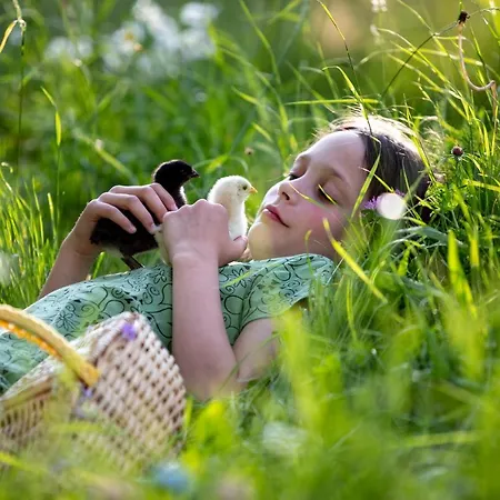 Fasslhuette Шале Мурау