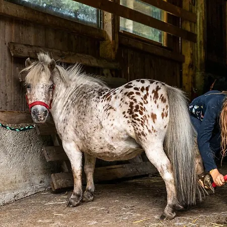 Fasslhuette Шале