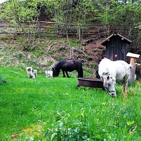 Fasslhütte *