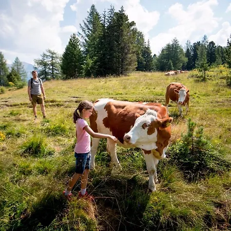 Fasslhuette Мурау