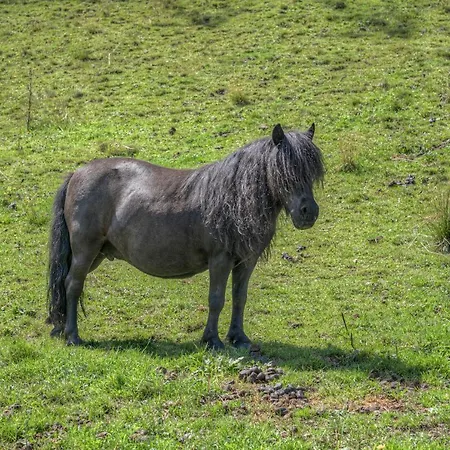 Fasslhuette Мурау