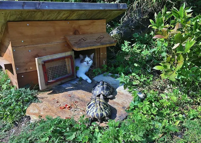 Fasslhuette Шале *