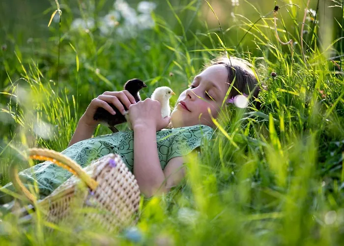 Fasslhuette Шале Мурау