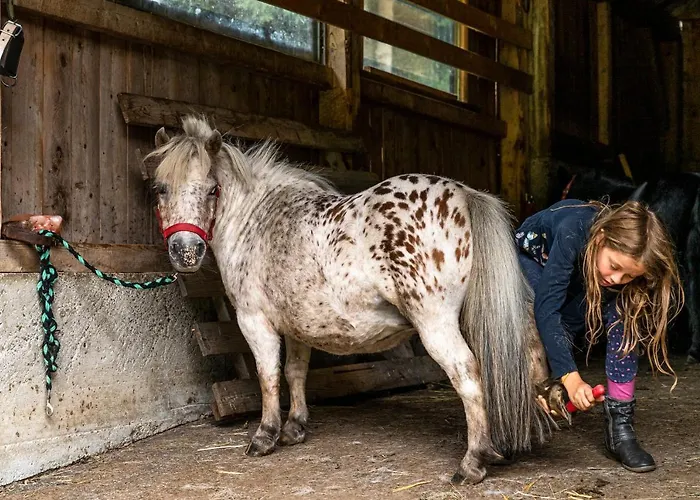 Fasslhuette Шале