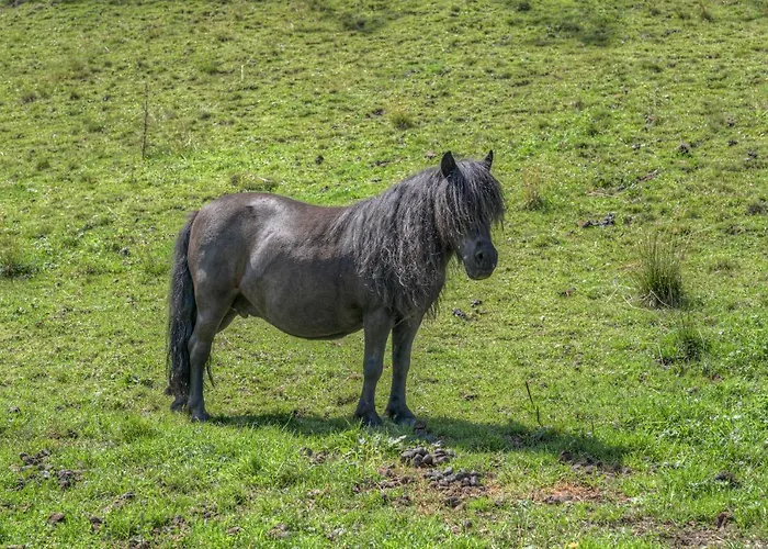 Fasslhuette Мурау