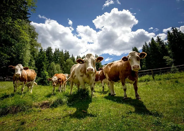 Шале Fasslhuette